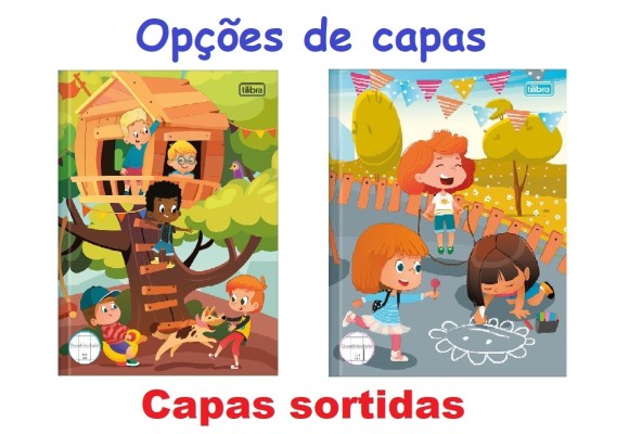 https://www.colegioobjetivoaricanduva.papelariapremium.com.br/image/cache/data/eftr/Img_ftr_rp_179101-580x400.JPG