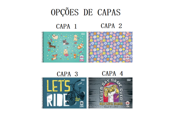 https://www.colegioobjetivoaricanduva.papelariapremium.com.br/image/cache/data/eftr/Img_ftr_rp_395601-580x400.PNG