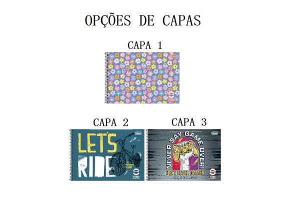 https://www.colegioobjetivoaricanduva.papelariapremium.com.br/image/cache/data/eftr/Img_ftr_rp_395701-580x400.PNG