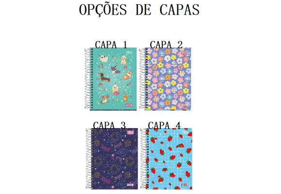 https://www.colegioobjetivoaricanduva.papelariapremium.com.br/image/cache/data/eftr/Img_ftr_rp_409101-580x400.PNG