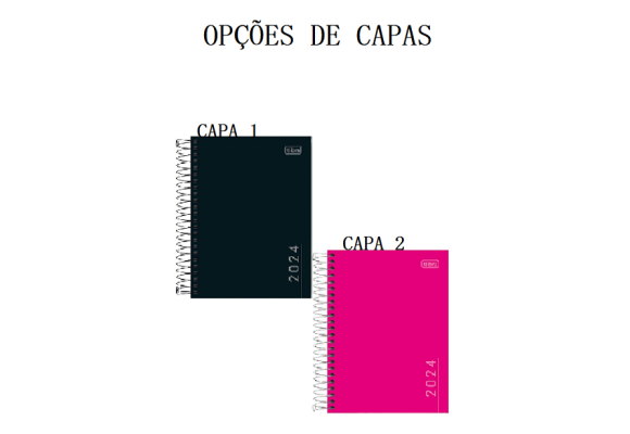 https://www.colegioobjetivoaricanduva.papelariapremium.com.br/image/cache/data/eftr/Img_ftr_rp_409301-580x400.PNG