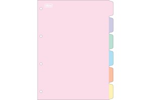 DIVISORIAS PARA FICHÁRIO TILIBRA ACADEMIE PASTEL C/6